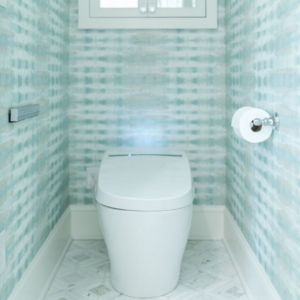 enclosed toilet with blue wallpaper